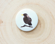 Laden Sie das Bild in den Galerie-Viewer, Magnete mit verschiedenen Motiven, für Kühlschrank usw.