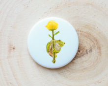 Laden Sie das Bild in den Galerie-Viewer, Magnete mit verschiedenen Motiven, für Kühlschrank usw.