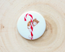 Laden Sie das Bild in den Galerie-Viewer, Magnete mit verschiedenen Motiven, für Kühlschrank usw.