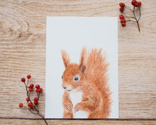 Laden Sie das Bild in den Galerie-Viewer, Kunstdruck / gedruckte Karte mit quirligem Eichhörnchen auf feinstem Cotton-Papier