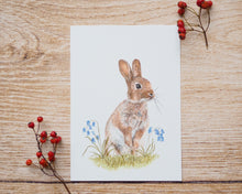 Laden Sie das Bild in den Galerie-Viewer, Kunstdruck / gedruckte Karte mit puscheligem Hasen im Gras auf feinstem Cotton-Papier