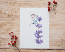 Laden Sie das Bild in den Galerie-Viewer, Kunstdruck / gedruckte Karte mit Lavendel und Schmetterling auf feinstem Cotton-Papier