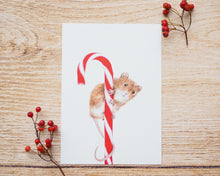 Laden Sie das Bild in den Galerie-Viewer, Kunstdruck / gedruckte Karte mit Maus und Zuckerstange auf feinstem Cotton-Papier