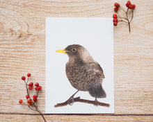 Laden Sie das Bild in den Galerie-Viewer, Kunstdruck / gedruckte Karte mit schönster Amsel auf feinstem Cotton-Papier