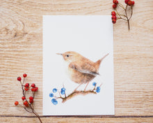 Laden Sie das Bild in den Galerie-Viewer, Kunstdruck / gedruckte Karte mit Zaunkönig und Beeren auf feinstem Cotton-Papier