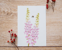 Laden Sie das Bild in den Galerie-Viewer, Kunstdruck / gedruckte Karte mit Hummel und Fingerhut auf feinstem Cotton-Papier