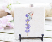 Laden Sie das Bild in den Galerie-Viewer, Antikmarmor-Fliese mit handgezeichnetem Tier- oder Blumenmotiv, dekorativ und einzigartig
