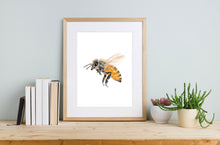 Laden Sie das Bild in den Galerie-Viewer, Hochwertiger Kunstdruck auf Gmund Bio Papier mit feinem Natur- oder Tiermotiv, mattes Finish