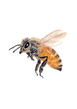 Laden Sie das Bild in den Galerie-Viewer, Bürotasse mit deinem Wunschmotiv