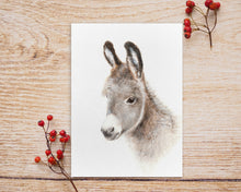 Laden Sie das Bild in den Galerie-Viewer, Postkarte mit kleinem Esel