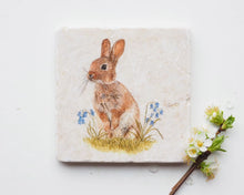 Laden Sie das Bild in den Galerie-Viewer, Bild auf Stein "Häschen im Gras"
