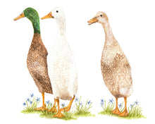 Laden Sie das Bild in den Galerie-Viewer, Bürotasse mit deinem Wunschmotiv