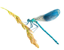 Laden Sie das Bild in den Galerie-Viewer, Bürotasse mit deinem Wunschmotiv