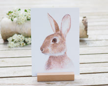 Laden Sie das Bild in den Galerie-Viewer, Kunstdruck / gedruckte Karte mit Kaninchenportrait auf feinstem Cotton-Papier