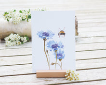 Laden Sie das Bild in den Galerie-Viewer, Kunstdruck / gedruckte Karte mit Hummel und Kornblume auf 300g Recycling Papier