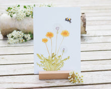 Laden Sie das Bild in den Galerie-Viewer, Kunstdruck / gedruckte Karte mit Hummel und Löwenzahn auf feinstem Cotton-Papier
