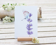 Laden Sie das Bild in den Galerie-Viewer, Kunstdruck / gedruckte Karte mit Lavendel und Schmetterling auf feinstem Cotton-Papier