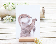 Laden Sie das Bild in den Galerie-Viewer, Kunstdruck / gedruckte Karte mit niedlichem Otter auf feinstem Cotton-Papier