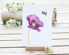 Laden Sie das Bild in den Galerie-Viewer, Kunstdruck / gedruckte Karte mit Hummel und lila Mohnblume auf feinstem Cotton-Papier