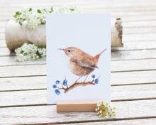 Laden Sie das Bild in den Galerie-Viewer, Kunstdruck / gedruckte Karte mit Zaunkönig und Beeren auf feinstem Cotton-Papier