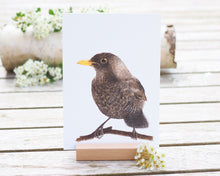 Laden Sie das Bild in den Galerie-Viewer, Kunstdruck / gedruckte Karte mit schönster Amsel auf feinstem Cotton-Papier