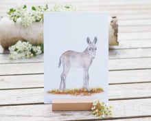 Laden Sie das Bild in den Galerie-Viewer, Kunstdruck / gedruckte Karte mit niedlichem Esel auf feinstem Cotton-Papier