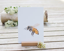 Laden Sie das Bild in den Galerie-Viewer, Kunstdruck / gedruckte Karte mit fleissiger Biene auf feinstem Cotton-Papier
