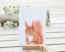 Laden Sie das Bild in den Galerie-Viewer, Kunstdruck / gedruckte Karte mit quirligem Eichhörnchen auf feinstem Cotton-Papier