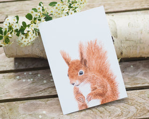 Kunstdruck / gedruckte Karte mit quirligem Eichhörnchen auf feinstem Cotton-Papier