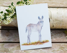 Laden Sie das Bild in den Galerie-Viewer, Kunstdruck / gedruckte Karte mit niedlichem Esel auf feinstem Cotton-Papier
