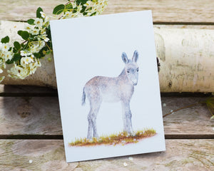 Kunstdruck / gedruckte Karte mit niedlichem Esel auf feinstem Cotton-Papier