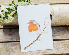 Laden Sie das Bild in den Galerie-Viewer, Kunstdruck / gedruckte Karte mit Rotkehlchen im Frühling auf feinstem Cotton-Papier