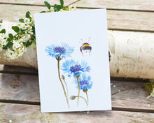 Laden Sie das Bild in den Galerie-Viewer, Kunstdruck / gedruckte Karte mit Hummel und Kornblume auf 300g Recycling Papier