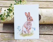 Laden Sie das Bild in den Galerie-Viewer, Kunstdruck / gedruckte Karte mit puscheligem Hasen im Gras auf feinstem Cotton-Papier
