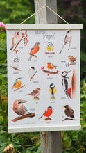 Laden Sie das Bild in den Galerie-Viewer, Kunstdruck/FineArt A3 "Unsere Gartenvögel" auf feinstem FineArt Papier
