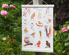 Laden Sie das Bild in den Galerie-Viewer, Kunstdruck/FineArt A3 "Unsere Gartenvögel" auf feinstem FineArt Papier