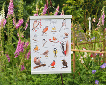 Laden Sie das Bild in den Galerie-Viewer, Plakat mit den schönsten Gartenvögeln in A3