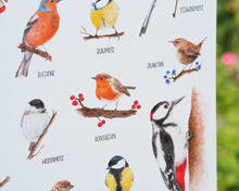 Laden Sie das Bild in den Galerie-Viewer, Kunstdruck/FineArt A3 "Unsere Gartenvögel" auf feinstem FineArt Papier