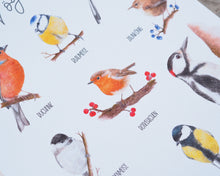 Laden Sie das Bild in den Galerie-Viewer, Kunstdruck/FineArt A3 "Unsere Gartenvögel" auf feinstem FineArt Papier