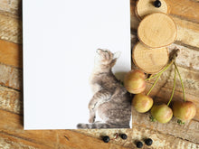 Laden Sie das Bild in den Galerie-Viewer, Notizblock "Freche Katze"