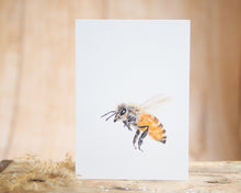 Laden Sie das Bild in den Galerie-Viewer, Kunstdruck / gedruckte Karte mit fleissiger Biene auf feinstem Cotton-Papier