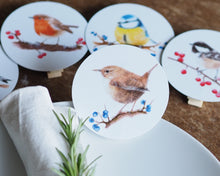 Laden Sie das Bild in den Galerie-Viewer, 5er Set Dekoclips "Schönste Gartenvögel"