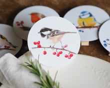 Laden Sie das Bild in den Galerie-Viewer, 5er Set Dekoclips "Schönste Gartenvögel"