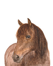 Laden Sie das Bild in den Galerie-Viewer, Korktasse mit deinem Wunschmotiv