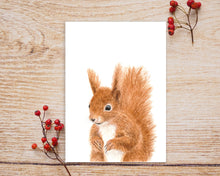 Laden Sie das Bild in den Galerie-Viewer, Postkarte mit quirligem Eichhörnchen