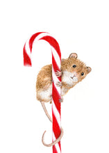 Laden Sie das Bild in den Galerie-Viewer, Bürotasse mit deinem Wunschmotiv