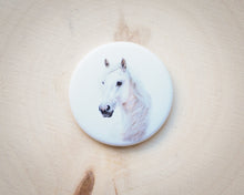 Laden Sie das Bild in den Galerie-Viewer, Magnete mit verschiedenen Motiven, für Kühlschrank usw.