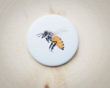 Laden Sie das Bild in den Galerie-Viewer, Magnete mit verschiedenen Motiven, für Kühlschrank usw.