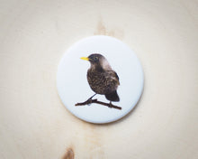 Laden Sie das Bild in den Galerie-Viewer, Magnete mit verschiedenen Motiven, für Kühlschrank usw.