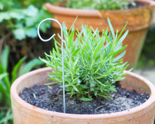 Laden Sie das Bild in den Galerie-Viewer, Anhänger aus Keramik mit Hummel